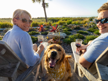 Elite Dog Training Richmond Virginia
