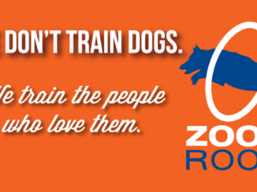 Zoom Room Dog Training