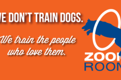 Zoom Room Dog Training - Richmond, VA