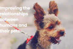  Happy Tailz Dog Training - Richmond, VA