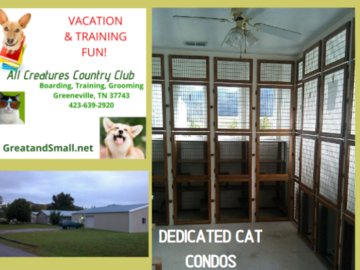 The Cattery and out the Window the Training Center