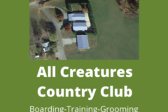 Request Quote: Professional Positive Dog Training - Greeneville, TN