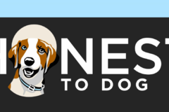 Honest To Dog - Certified Canine Trainers - Glen Allen, VA