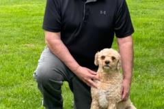 Request Quote: Pet Transport Service - Nationwide