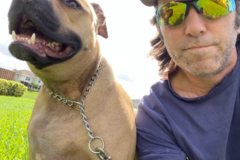 Request Quote: Pet Delivery Solutions LLC - Animal Transport - Nationwide