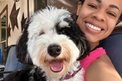 Request Quote: Expert Pet Sitting & Walking – Stress-Free Care for Your Fur - Plano, TX