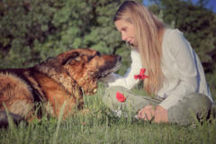 Request Quote: Splendour of Heart Interspecies Communication with Ingrid  - Nationwide