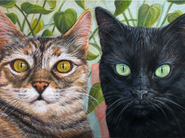 Cats