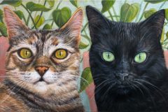 Request Quote: Custom Pet Portraits by Robin K Art - Pet Painter Artist - Nationwide