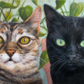 Custom Pet Portraits by Robin K Art - Pet Painter Artist - Nationwide