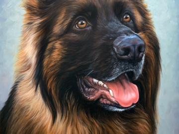 Loki