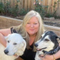 Tracy Salyer Animal Communication - Nationwide