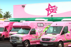 Super Star Mobile Pet Grooming - Miami, FL