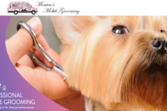 Monica's Mobile Dog Grooming - Hollywood, FL