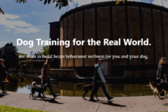 K9 Connection - Dog Trainers - Buffalo, NY