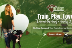 Sit n Stay Dog Trainers - Buffalo, NY