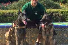 Chris Fiels - IACP Dog Trainer - Buffalo, NY