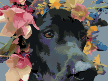 Tilly - Pet Portrait