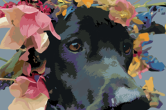 Request Quote: Custom Pet Portraits - Nationwide