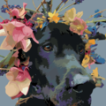 Gstyles Art - Custom Pet Portraits - Nationwide