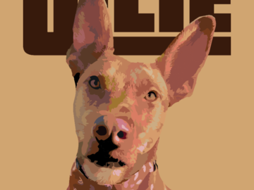 Ollie - Pet Portrait