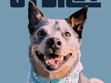 Sydney - Pet Portrait