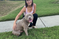 Request Quote: Safe, Caring Transport for Your Beloved Pet - Pineville, NC