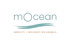 mOcean mobility + wellness for animals - Jacksonville Beach, FL