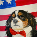 Mary Carter - Custom Pet Portrait Artist - Vero Beach, FL