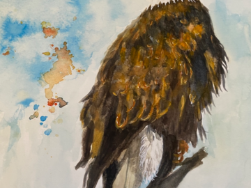 Watercolor painting of an eagle