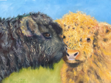 11x14 oil painting of young cows