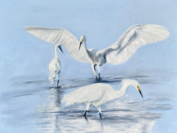 16x20 oil painting of 3 egrets
