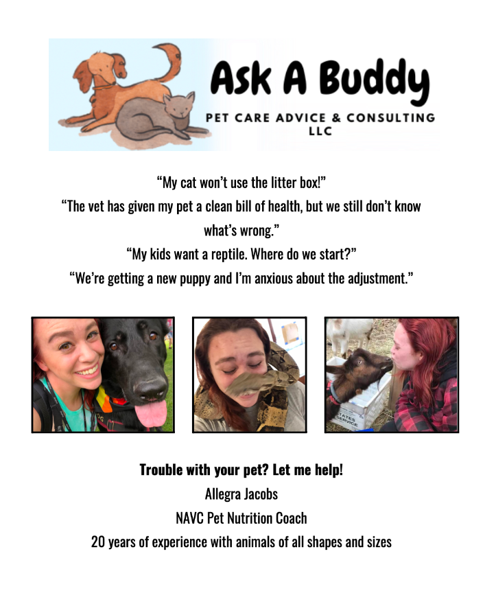 Ridgefield CT Certified Pet Nutrition Coach Ridgefield CT Certified Pet Nutrition Coach