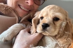 Request Quote: Pet Guardian Nanny / Flight Companion - Central Florida, FL