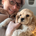 Pet Guardian Nanny / Flight Companion - Central Florida, FL