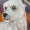 Michele Levani Art - Pet Portrait Artist - Nationwide