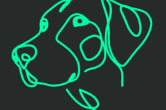 Request Quote: Professional Pet Sitter and Dog Walker - Dallas, TX