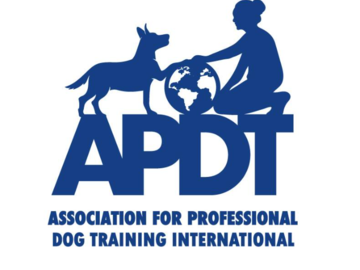 27 year professional trainer