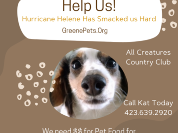 Our nonprofit needs help.