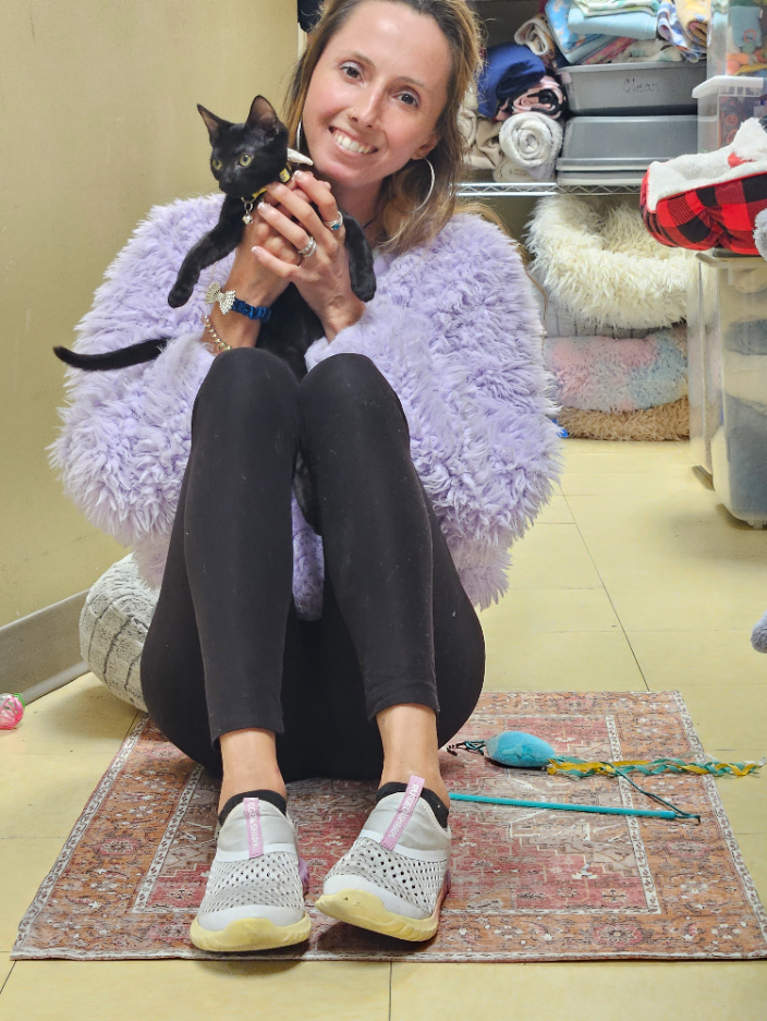 Sunny Isles Beach FL Kitty Faerie Cat Behaviorist In Person