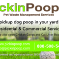 PickinPoop Pet Waste Removal Service  - Winston-Salem, NC