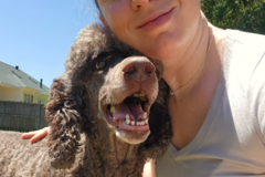 Request Quote: Reliable Dog Walking - Sitting - Boarding Services - Clayton, NC