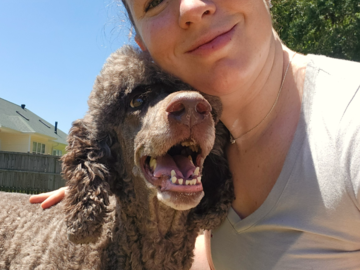 Dog Sitting 