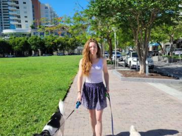 Dog Sitting and Walking 