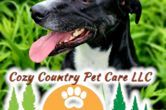 Request Quote: Experienced Veterinary Transport Service - Pet Taxi - Black Creek, WI