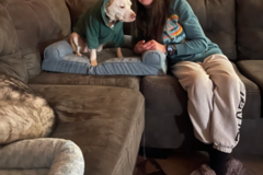 Request Quote: Your Pet's Preferred Co-Pilot - Pet Transporter - Nationwide