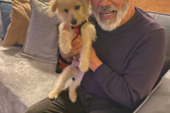 Request Quote: Certified Canine Chiro - Equine Acupressure Therapist - Benicia, CA