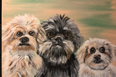 Request Quote: Acrylic Pet Portraits   - Brighton, MI