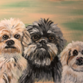 Acrylic Pet Portraits   - Brighton, MI