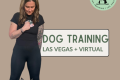 Request Quote: Helping Reactive Dogs Relax - Dog Training - Las Vegas, NV